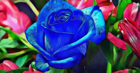 Blue Rose Meaning and Symbolism - WhenYouGarden.com