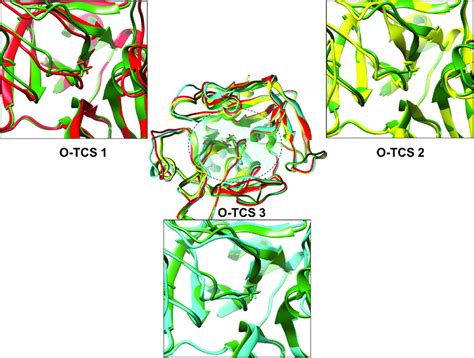 Structural changes in the thrombin active site cleft upon cleavage site ...