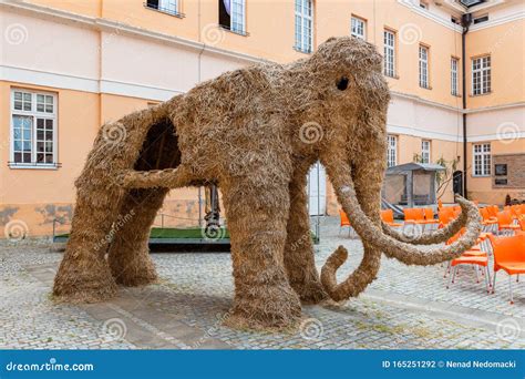 Schelet of of a Mammoth Reconstructed and Exposed in the Interior ...