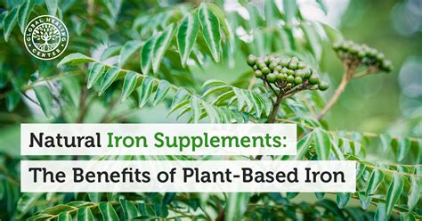 Natural Iron Supplements: The Benefits of Plant-Based Iron