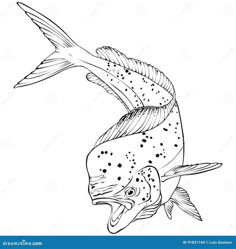 Mahi Mahi Coloring Pages