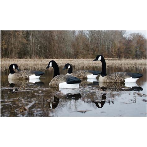 4-Pk. of Higdon® Alpha Magnum Floating Canada Goose Decoys - 623178 ...