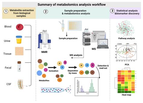 Metabolites | Free Full-Text | Metabolomics Approaches for the ...