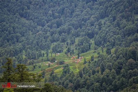 Photos: Magnificent nature of Masal in northern Iran