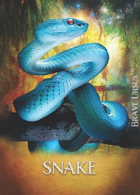 Snake Spirit Animal Altar & Prayer Card 5x7 by Bernadette King - Etsy