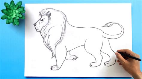 How to Draw a Lion Easy Step by Step || Lion Drawing - YouTube