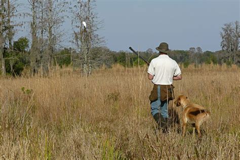 How to Use Snipe hunt Correctly - My Hunting Lands