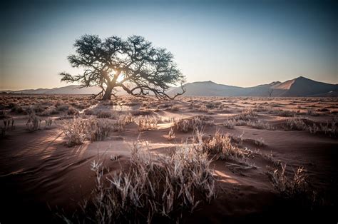 Desert Sunrise Wallpapers - 4k, HD Desert Sunrise Backgrounds on ...