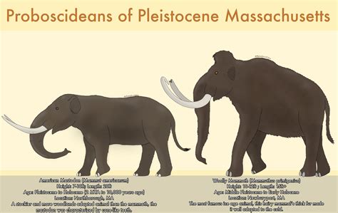 Proboscideans of Pleistocene Massachusetts by PlasmaGruntCalvin on ...