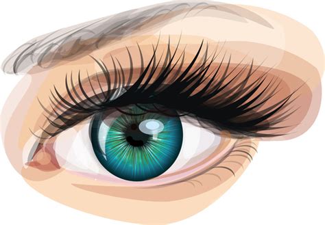 Eye free vector download (692 Free vector) for commercial use. format ...