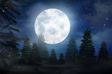 Fantasy Night. Full Moon in Sky Over Fir Forest Stock Image - Image of ...