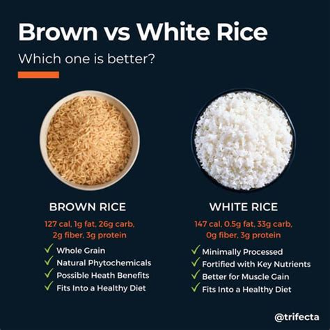 Brown Rice vs White Rice: Which One is Better?