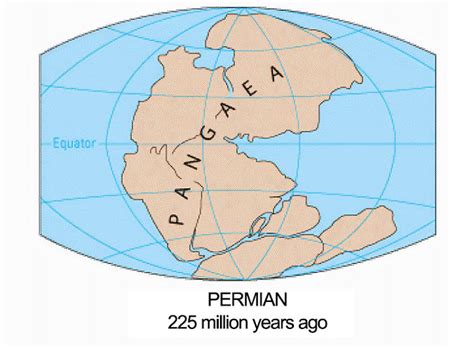 This Is What The World Looked Like 300 Million Years Ago | Bored Panda