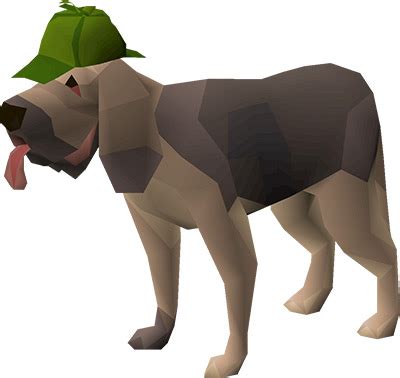 Top 10 Rarest Pets in Old School RuneScape – FandomSpot