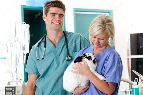 Small Animal Vet Clinic — Stock Photo © SimpleFoto #5711582