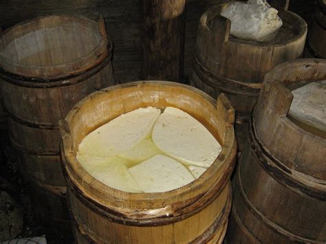 THE VLAŠIĆ CHEESE. The famous cheese from Vlašić (mountain) is usually ...