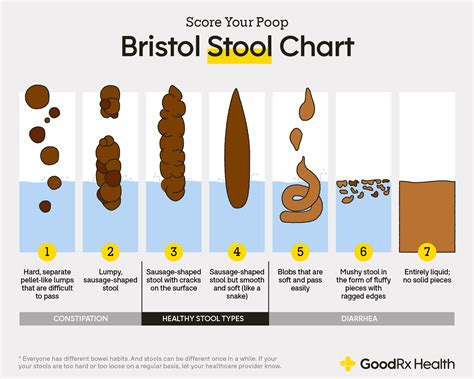 Bristol Stool Chart: Checking If Your Poop Is Healthy, 56% OFF