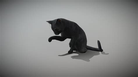 An Animated Cat - Download Free 3D model by Evil_Katz [aec2569] - Sketchfab