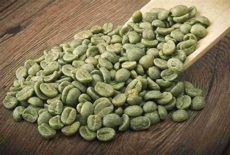 Arabica Green Coffee Beans, Grade: AA, Rs 400 /kg Fides Tea Impex ...