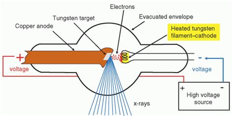 Drawing Of An X Ray Tube And Collimator Schematic