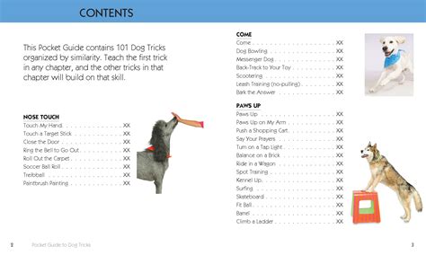 The Pocket Guide to Dog Tricks by Kyra Sundance | Quarto At A Glance ...