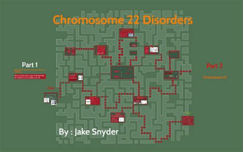 Chromosome 22 Disorders by Jake Snyder