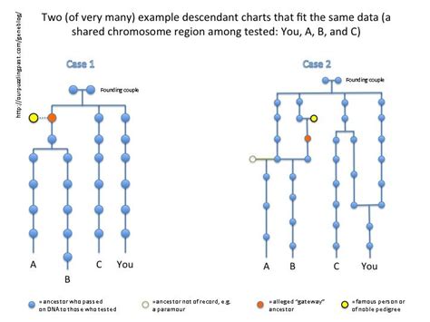 Genealogy and Autosomal DNA Matches: Common Errors in "Proving" An ...