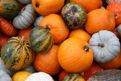 Pumpkins! | At the pumpkin festival in Seegräben | Jeremy Seitz | Flickr