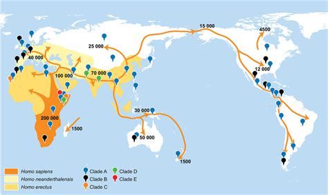 A map of early human migration patterns and the distribution of ...