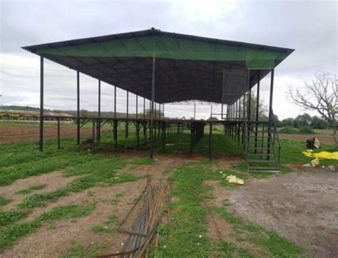 Panel Built Poultry Farm Shed at Rs 230/square feet | Poultry Sheds in ...