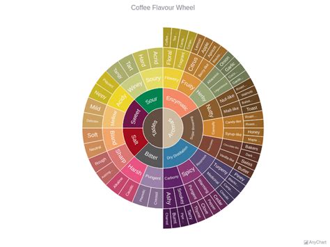 Coffee Flavour Wheel | Sunburst Charts