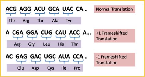 What is frameshift mutation? + Example