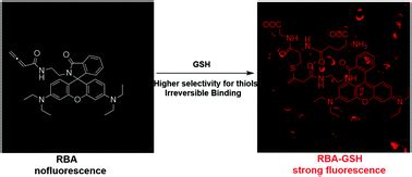 A novel strategy for rhodamine B-based fluorescent probes with a ...