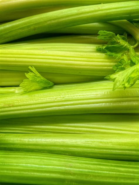 Celery Allergy | Anaphylaxis UK