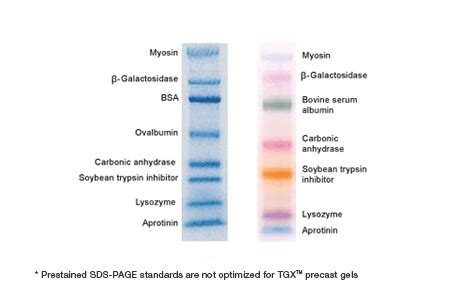 Prestained SDS-PAGE Standards | Life Science Research | Bio-Rad | Life ...