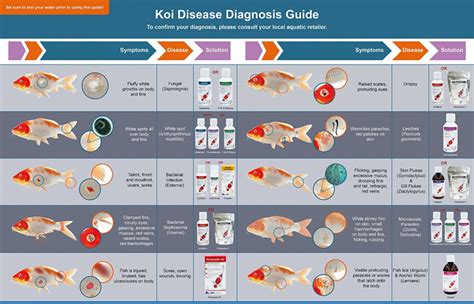 Koi Disease Diagnosis and Treatment - Wonky Wheels