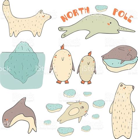 Cute hand drawn doodle north pole, antarctic, arctic animals and ...