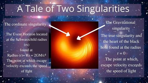 The Anatomy of a Black Hole: Diving Deep into the Singularity