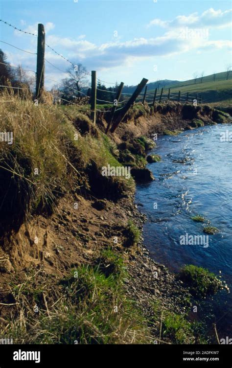 Erosion of a river-bank caused by flooding Stock Photo - Alamy