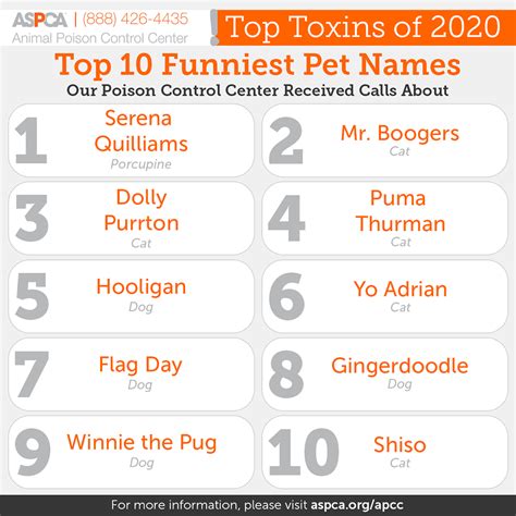 Top 10 Funniest Pet Names of 2020 | ASPCA