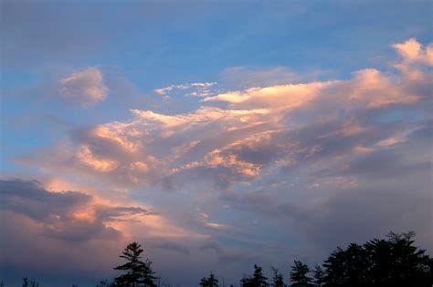 Free picture: dawn, clouds, sky, trees