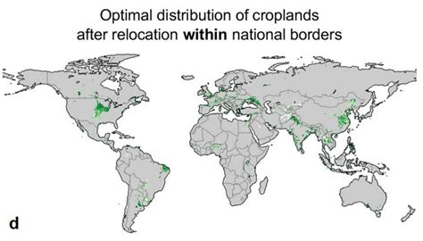 Where the world’s major food crops should be grown to maximise yield ...