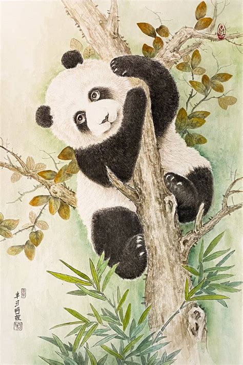 Baby Panda: Overlook Drawing by Li Ming | Saatchi Art