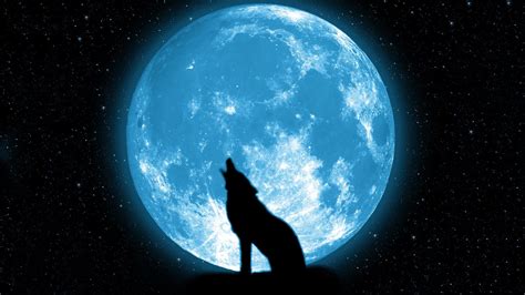 Anime Wolf Howling Wallpapers - Wallpaper Cave