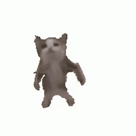 Cat Dancing GIF - Cat Dancing Gangnam Style - Discover & Share GIFs ...