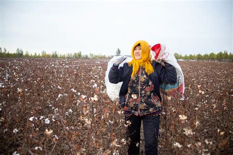 Better Cotton’s New Regulations Protect Farmers, Labor and Business