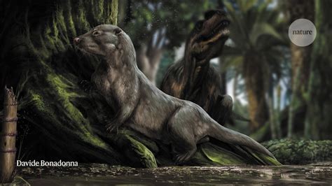 How the earliest mammals thrived alongside dinosaurs