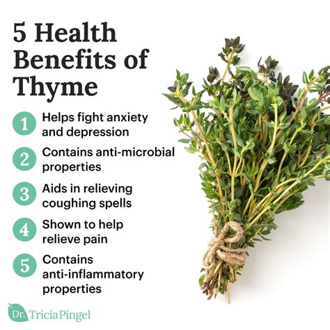 5 Thyme Health Benefits - Dr. Pingel