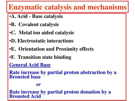 PPT - Enzyme Catalysis PowerPoint Presentation, free download - ID:590166