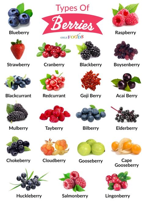 21 Different Types of ‘Berries’ to Eat | Fruits and vegetables list ...